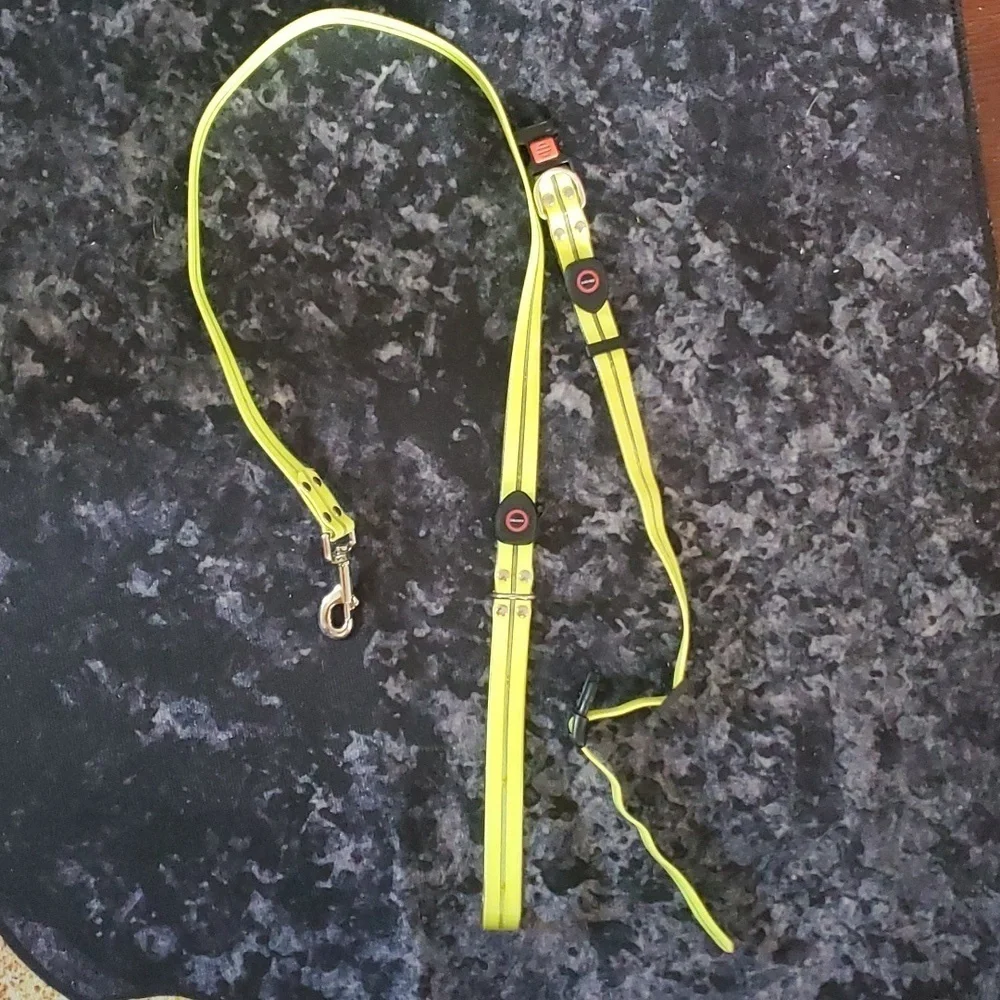 Light Up Leash and Collar with 3 Modes, USB charger Included